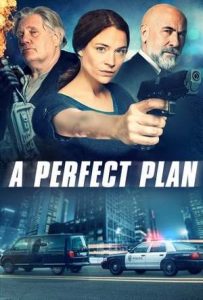 A Perfect Plan Full Movie Download Free 2020 Dual Audio HD