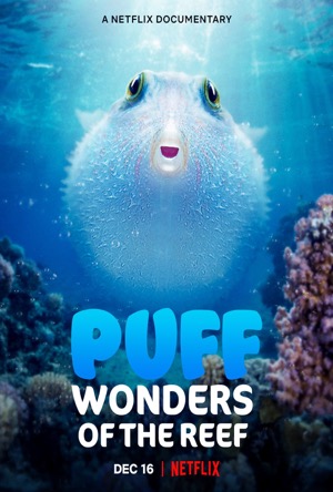 Puff: Wonders of the Reef Full Movie Download Free 2021 Dual Audio HD