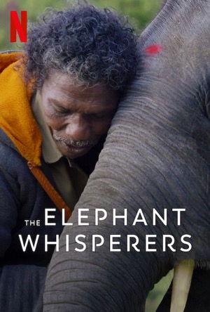 The Elephant Whisperers Full Movie Download Free 2022 Hindi Dubbed HD